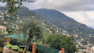 Ingrandisci la foto di questa casa in Vendita a Camogli