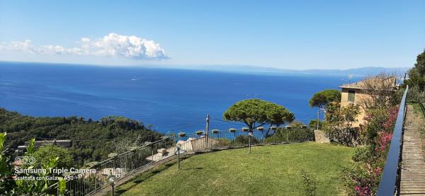 Ingrandisci la foto di questa casa in Vendita a Camogli